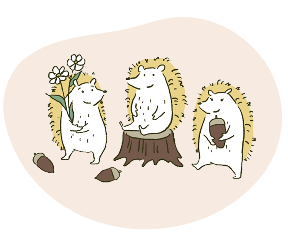 ハリネズミの三きょうだい